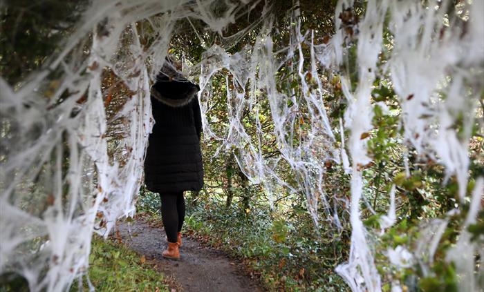 A person walking through cobweb decorated maze.